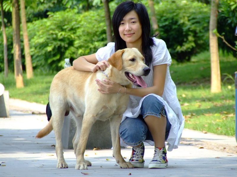 风中的绿叶的第一张照片--连云港相亲服务中心