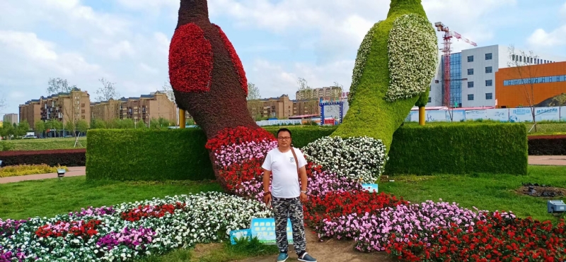 尘埃的第一张照片--连云港相亲服务中心