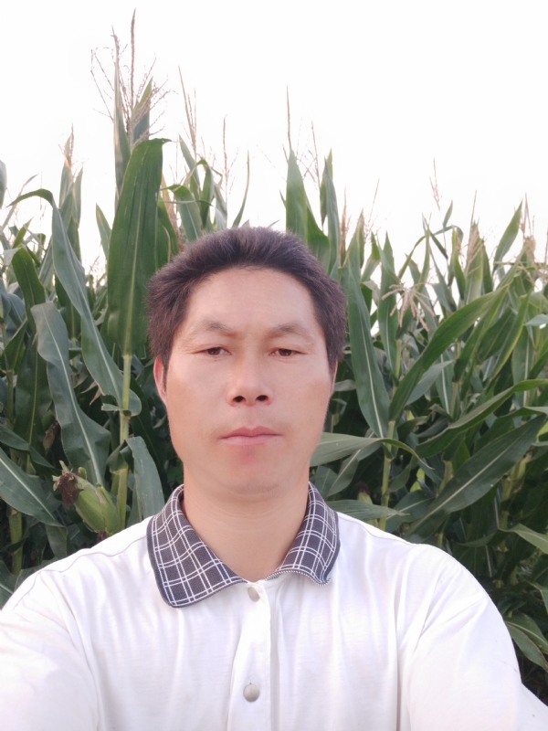 四海游龙的第一张照片--连云港相亲服务中心