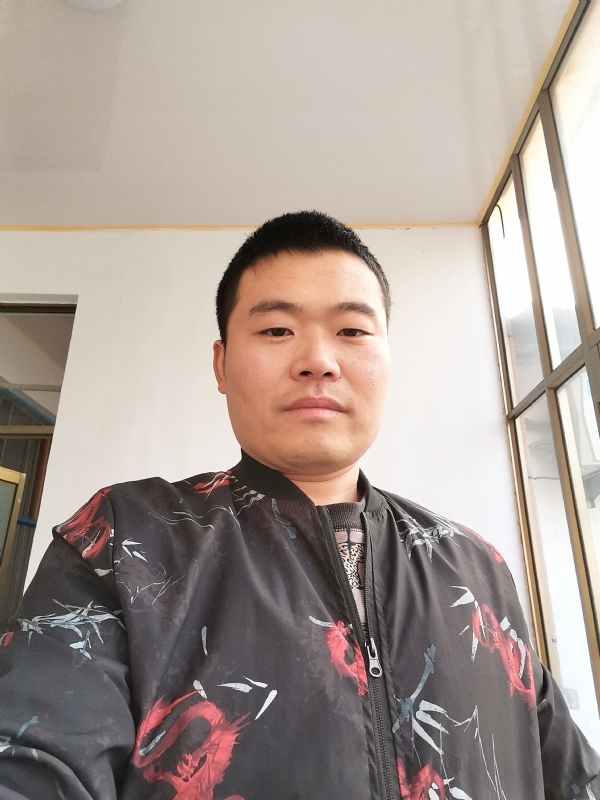 会飞的猪的第一张照片--连云港相亲服务中心