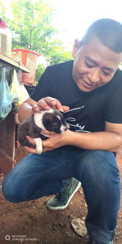 深圳相亲的第一张照片--连云港相亲服务中心