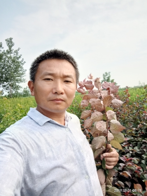 孩子爸的第二张照片--连云港相亲服务中心