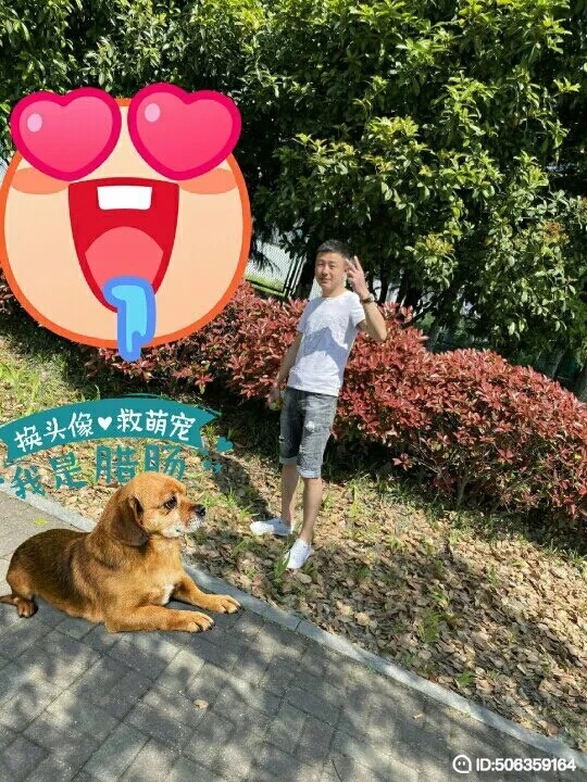 我若不坚强谁替我勇敢的第一张照片--连云港相亲服务中心