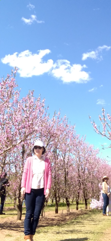 Grace的第二张照片--连云港相亲服务中心