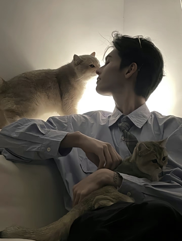 怪猫的第一张照片--连云港相亲服务中心