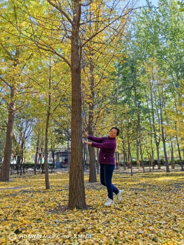 Shirley的第三张照片--连云港相亲服务中心