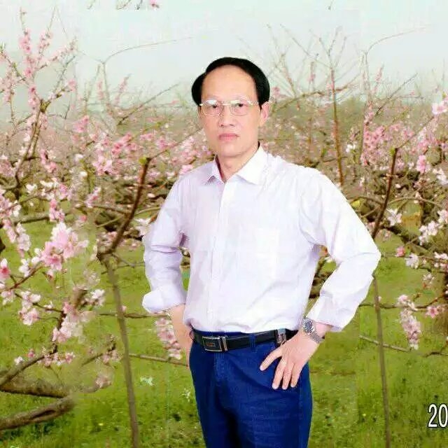 枫叶的第一张照片--连云港相亲服务中心