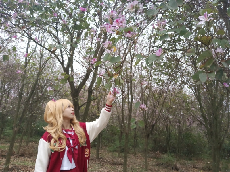 暮秋的第二张照片--连云港相亲服务中心