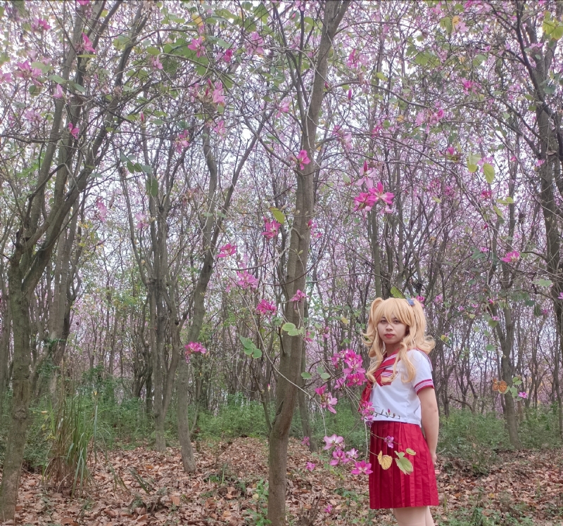 暮秋的第三张照片--连云港相亲服务中心