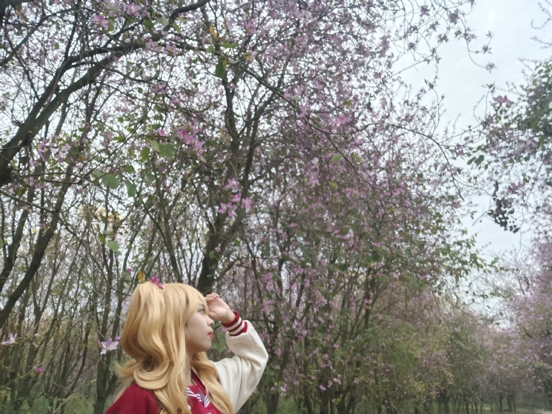 暮秋的第五张照片--连云港相亲服务中心