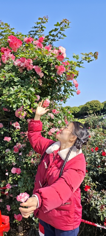 狗狗的第一张照片--连云港相亲服务中心